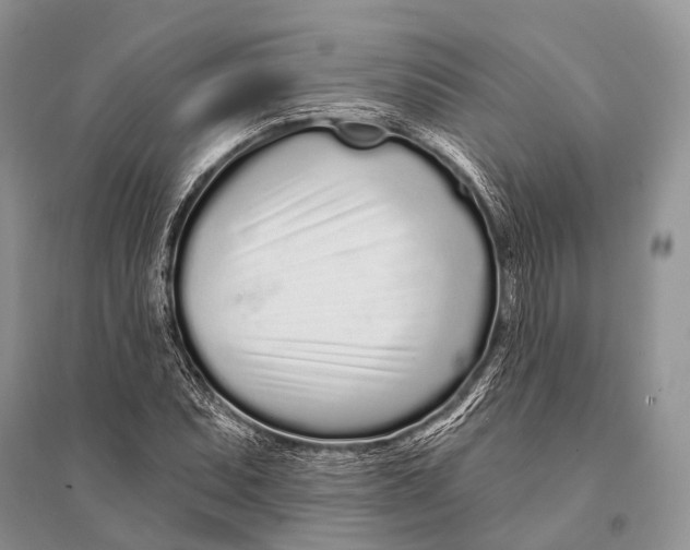 X0000094921071200712201215