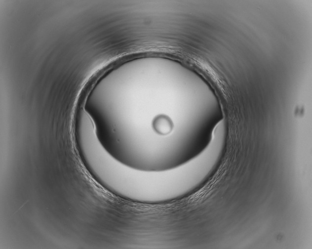 X0000094921072200712201215