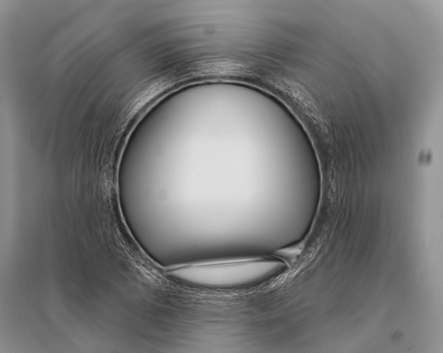 X0000094921073200712201215