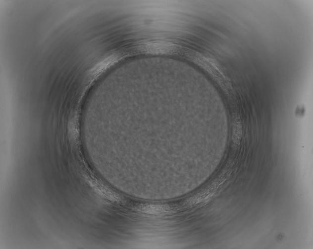 X0000094921074200712201215