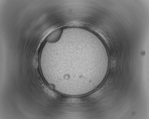 X0000094921075200712201215