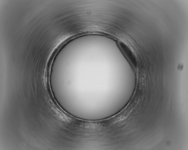 X0000094921076200712201215