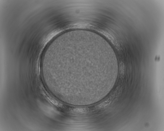 X0000094921078200712201214