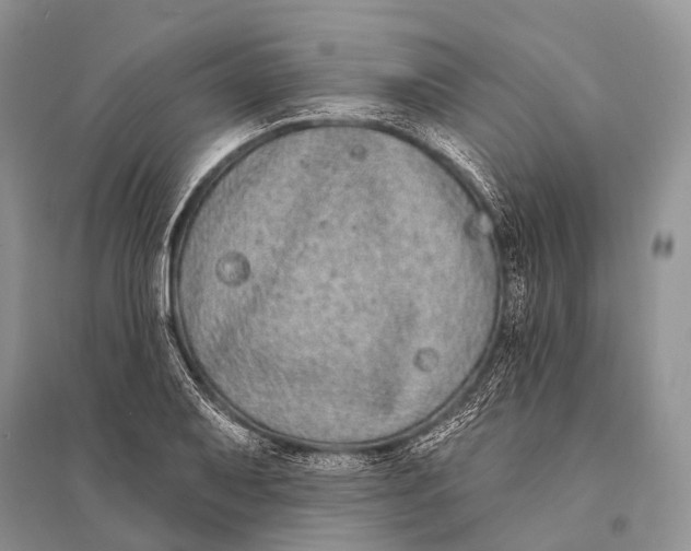 X0000094921079200712201214