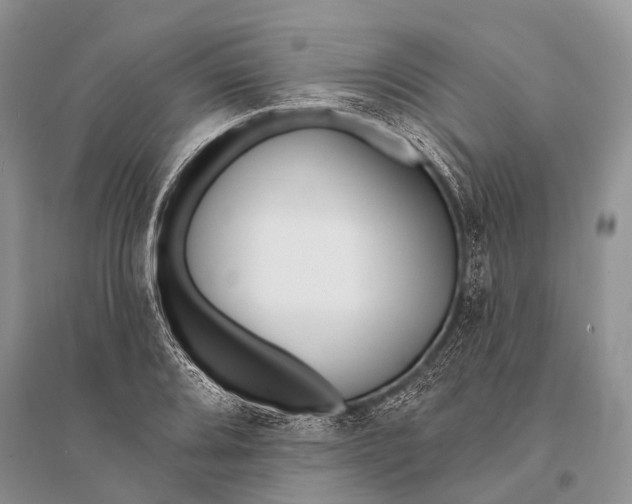 X0000094921080200712201214