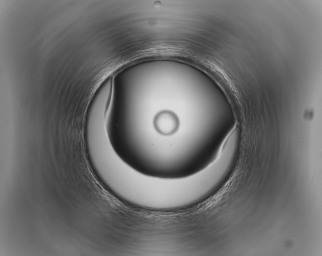 X0000094921081200712201214