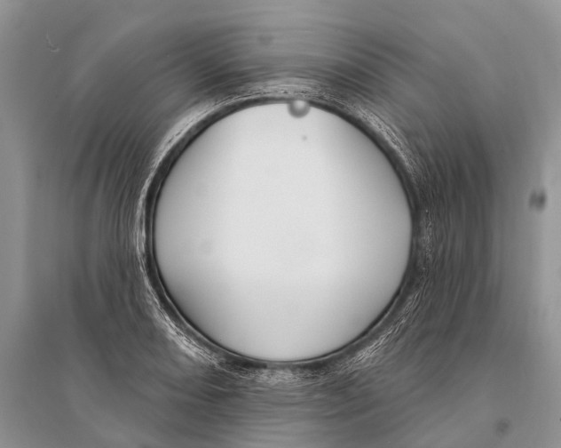 X0000094921082200712201214