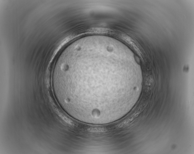 X0000094921083200712201214