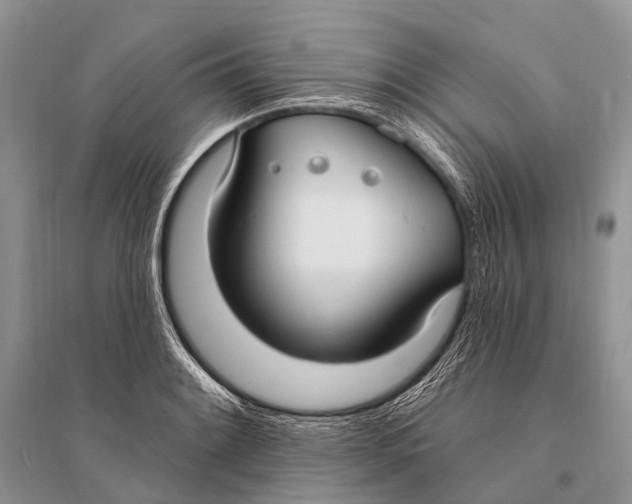 X0000094921084200712201214