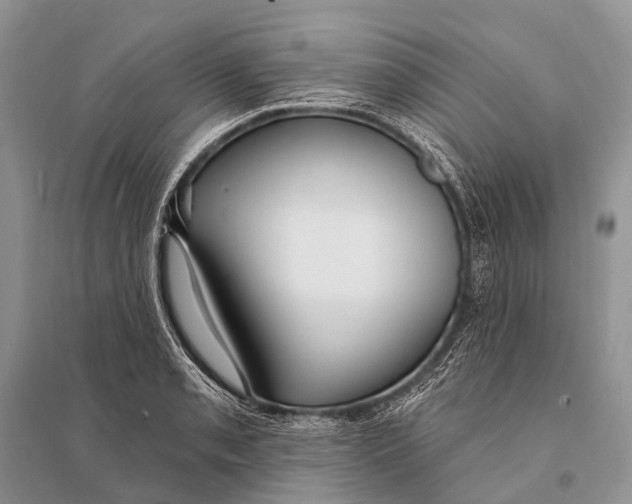 X0000094921085200712201214