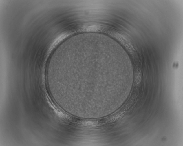 X0000094921086200712201214