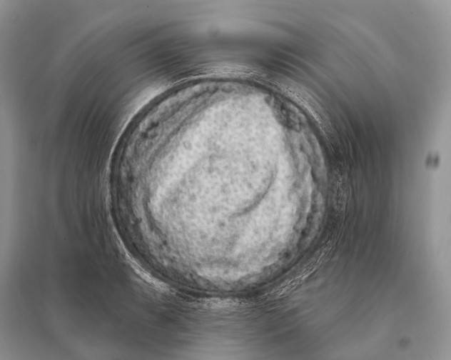 X0000094921087200712201214