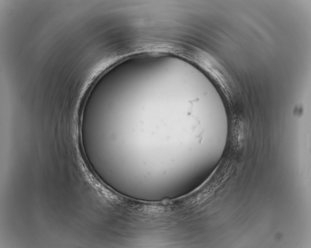 X0000094921088200712201214