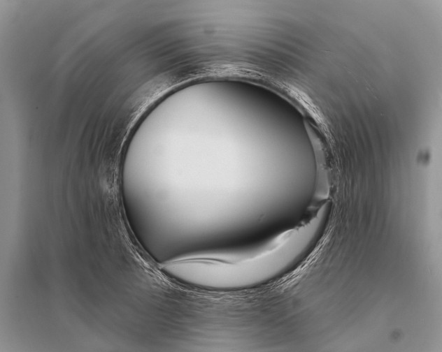 X0000094921089200712201214