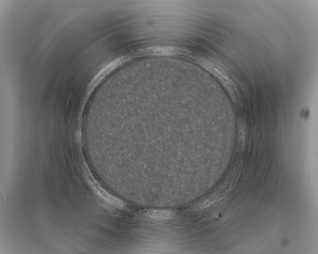 X0000094921090200712201214