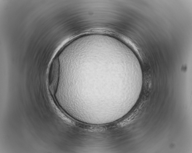 X0000094921091200712201214