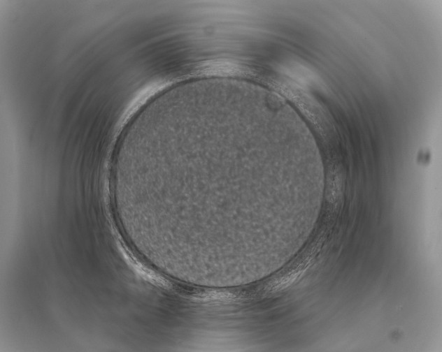 X0000094921094200712201214