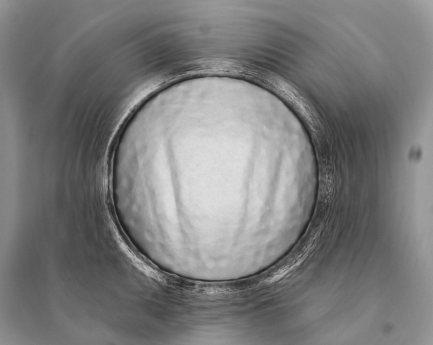 X0000094921095200712201214