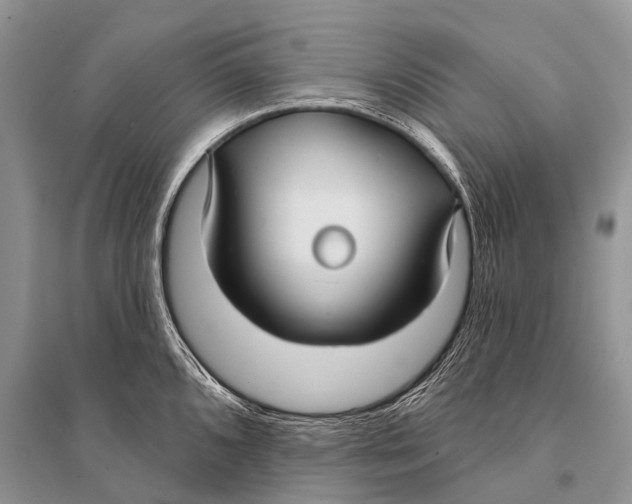 X0000094921096200712201214