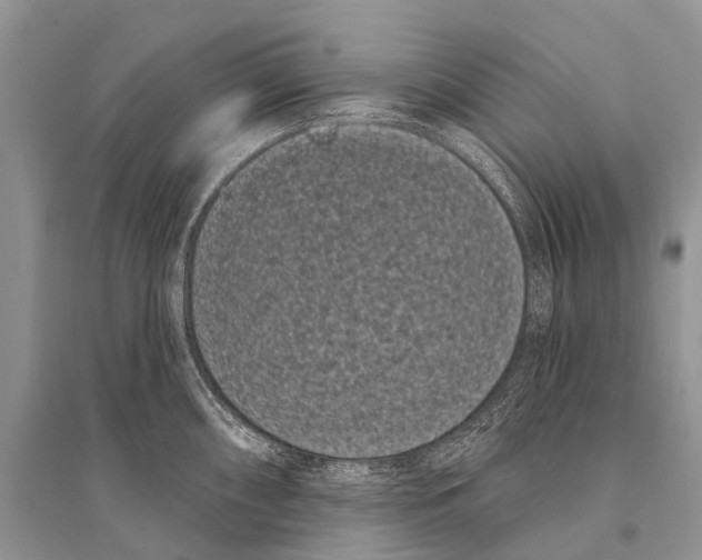 X0000094921098200712201214