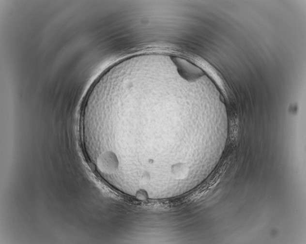 X0000094921099200712201214