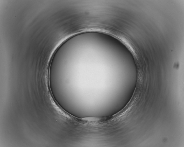 X0000094921100200712201214