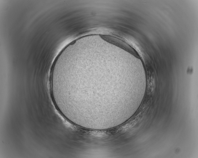 X0000094921103200712201214