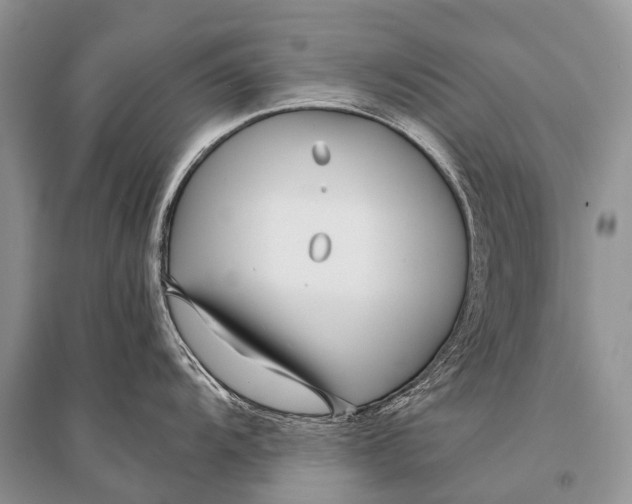 X0000094921104200712201214