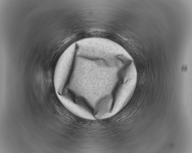 X0000094921106200712201213