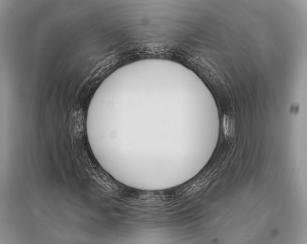 X0000094921107200712201213