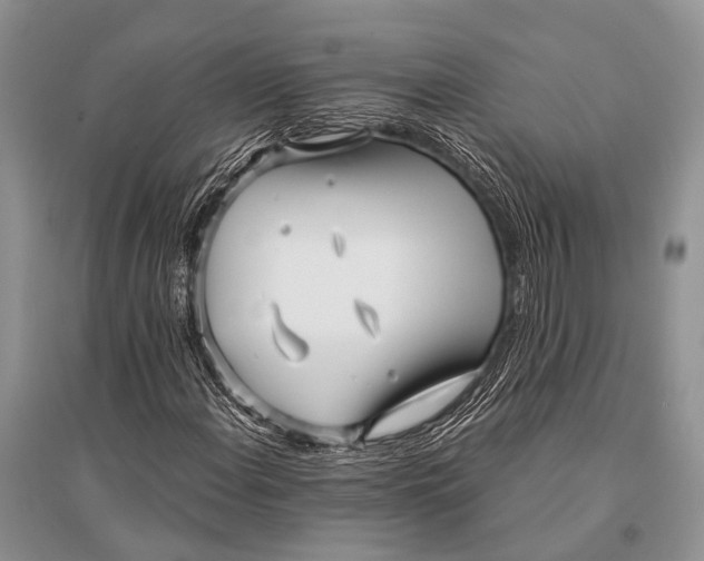 X0000094921108200712201213