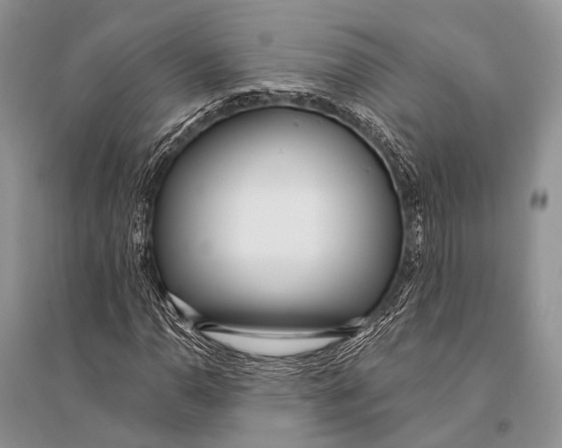 X0000094921110200712201214