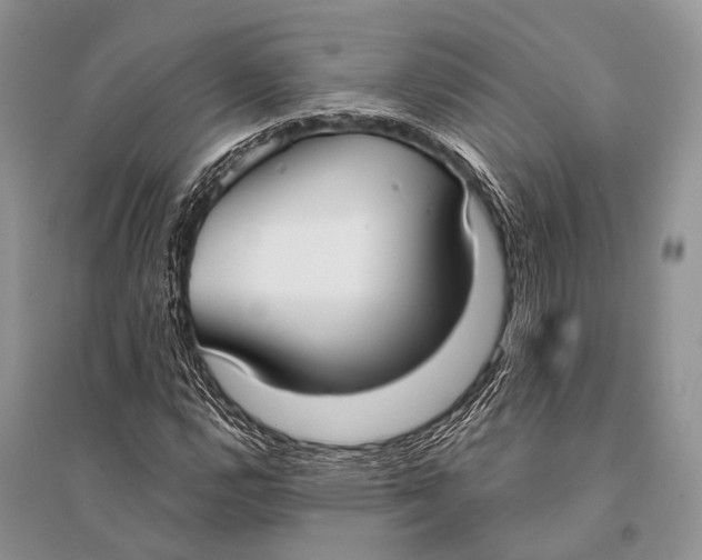 X0000094921112200712201214