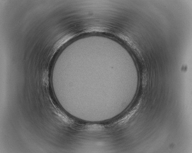 X0000094921113200712201214