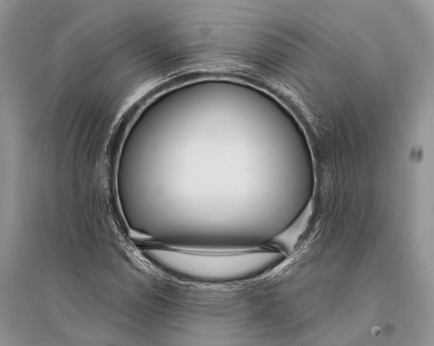 X0000094921114200712201214