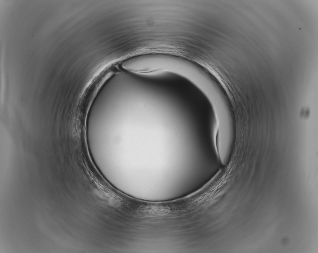 X0000094921115200712201214