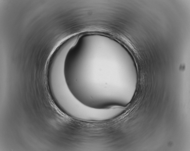 X0000094921116200712201214