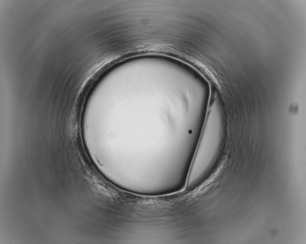 X0000094921117200712201214