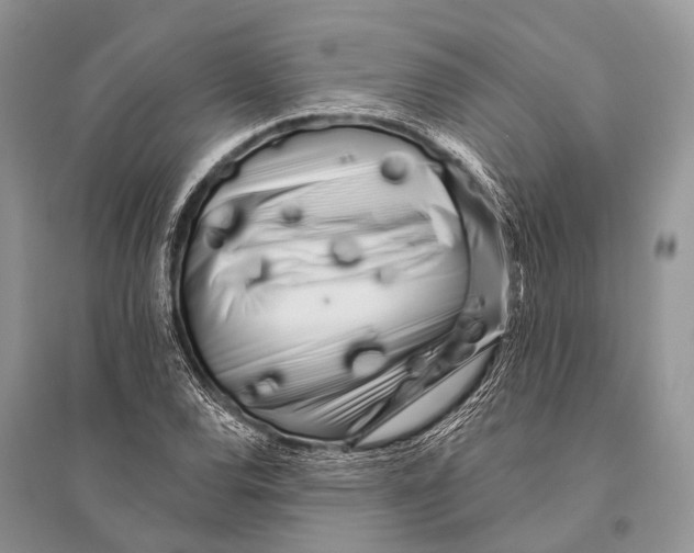 X0000094921120200712201214