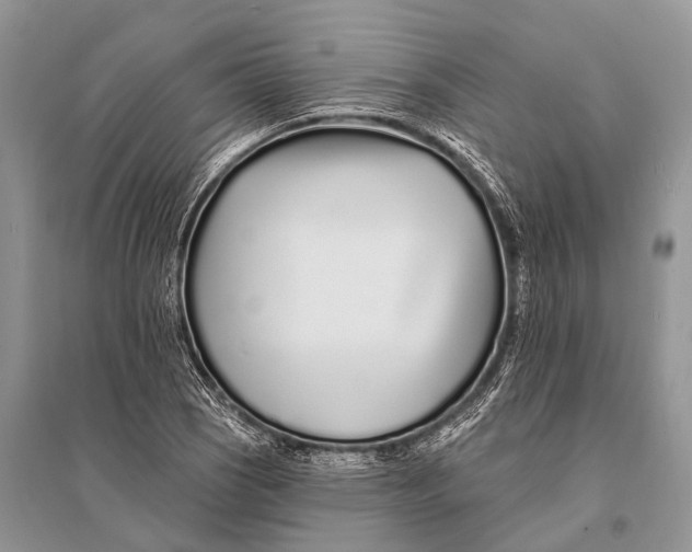 X0000094921121200712201214