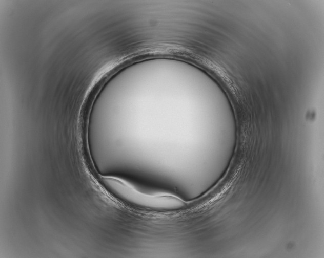 X0000094921122200712201214