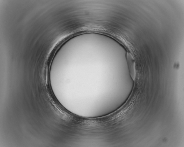 X0000094921123200712201214