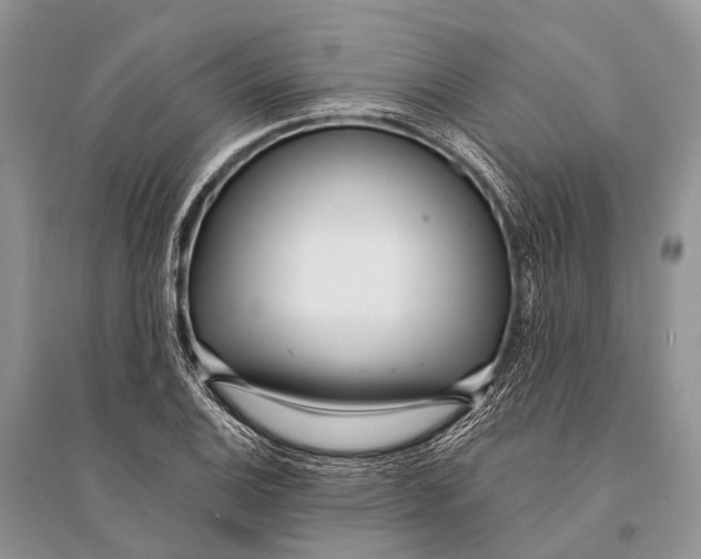 X0000094921124200712201214