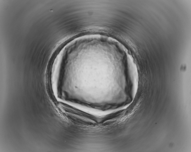 X0000094921125200712201214