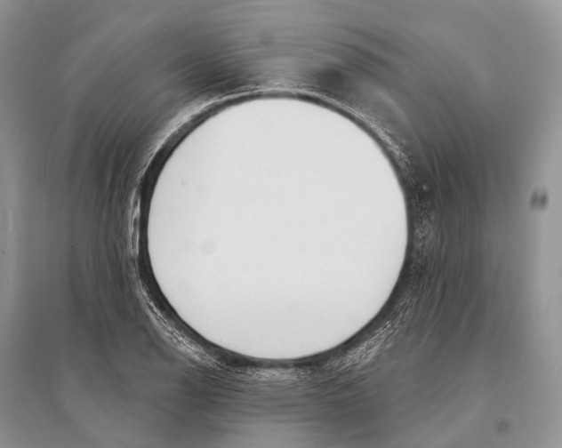 X0000094921126200712201214