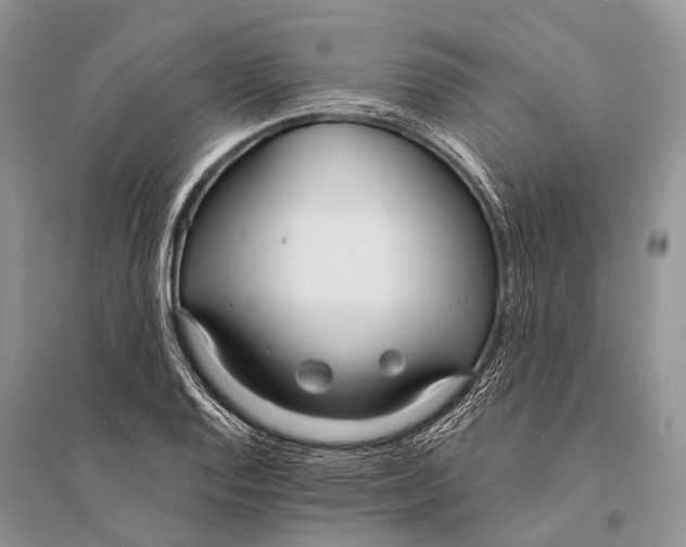 X0000094921128200712201214