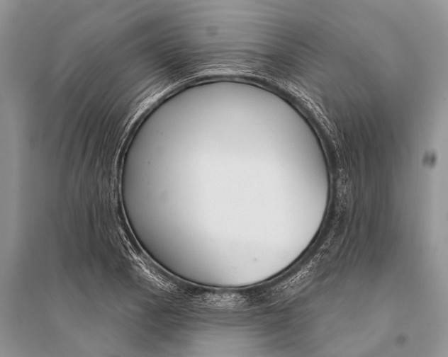 X0000094921129200712201214