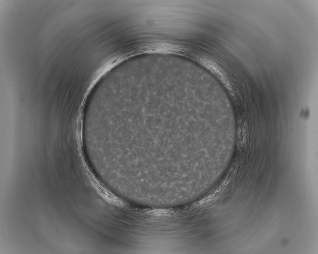 X0000094921130200712201214