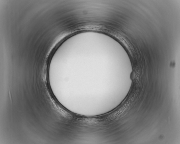 X0000094921131200712201214