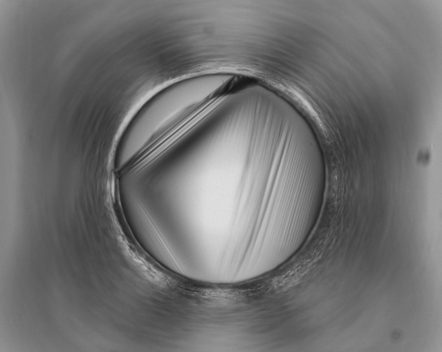 X0000094921132200712201214